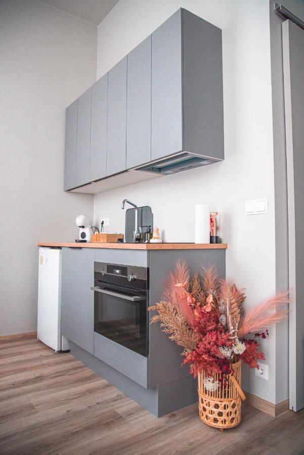 شقة Cozy Studio By The City Centre ريكيافيك المظهر الخارجي الصورة